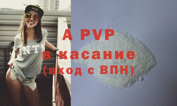 бошки Ладушкин