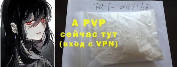 бошки Ладушкин