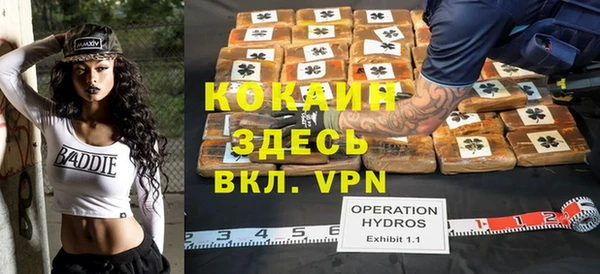 бошки Ладушкин