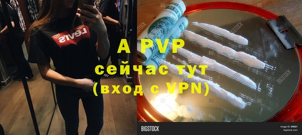 бошки Ладушкин