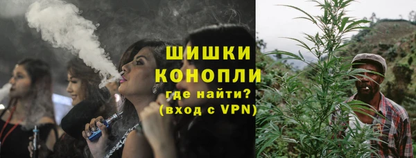 бошки Ладушкин